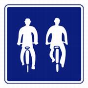 自転車並進可画像