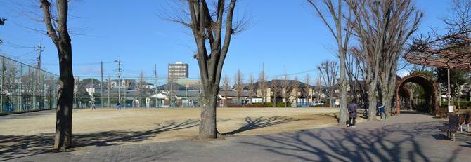 朝日中央公園の写真