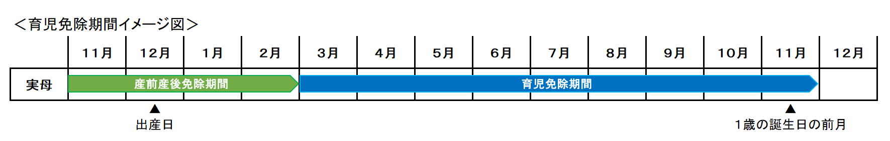 育児免除イメージ図 実母の場合