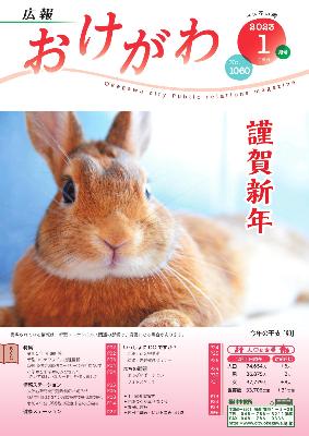 広報おけがわ1月号の表紙画像。一匹のうさぎが腹這いに寝そべり、頭をもたげてこちらを見ている様子