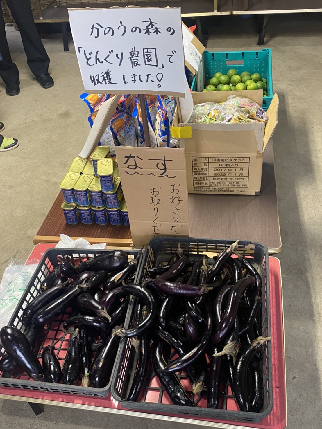 収穫された野菜の写真