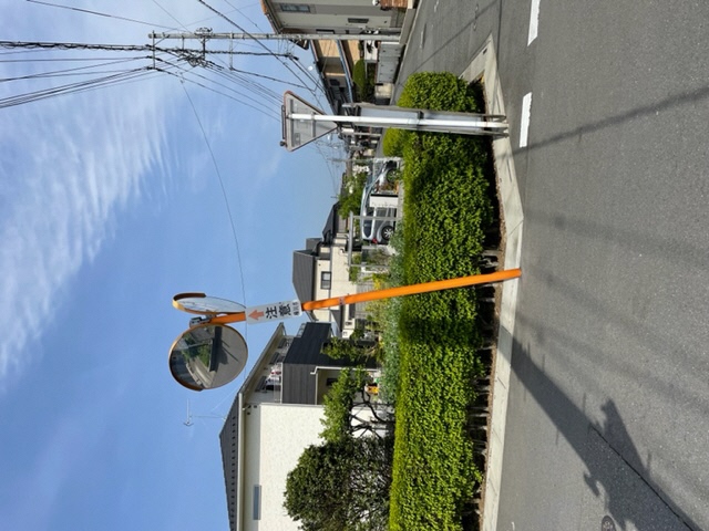 ミラー前