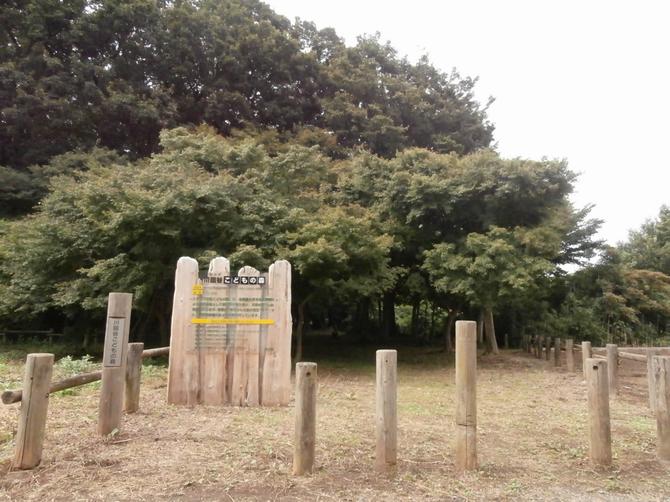 川田谷こどもの森の写真