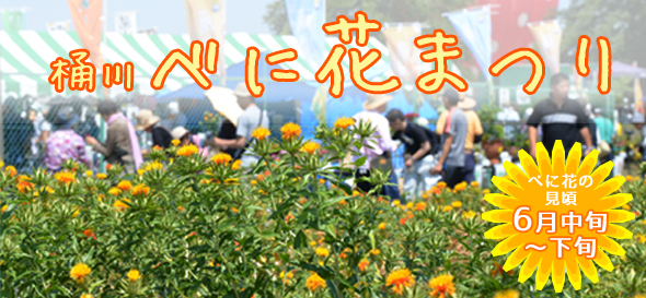 べに花まつりが6月18日と19日に開催されます。べに花の見頃は6月中旬から下旬の予定です。