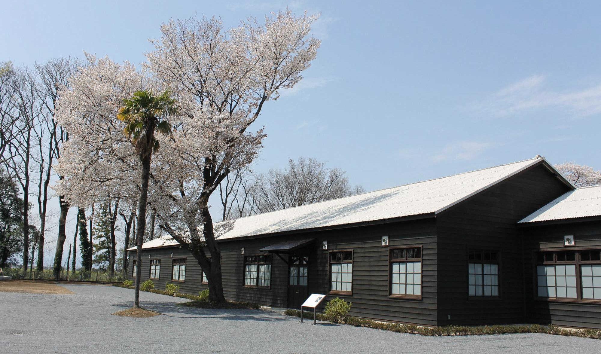 平和祈念館の建物外観の写真