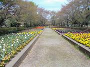 フィルムコミッションロケ地（城山公園）の画像