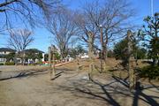 フィルムコミッションロケ地（若宮東公園）の画像