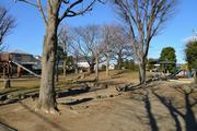 フィルムコミッションロケ地（坂田原中央公園）の画像
