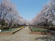 フィルムコミッションロケ地（城山公園）の画像