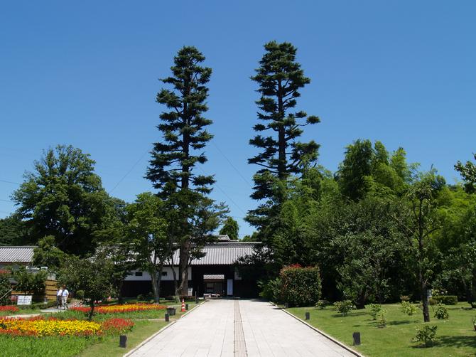 桶川市べに花ふるさと館の庭