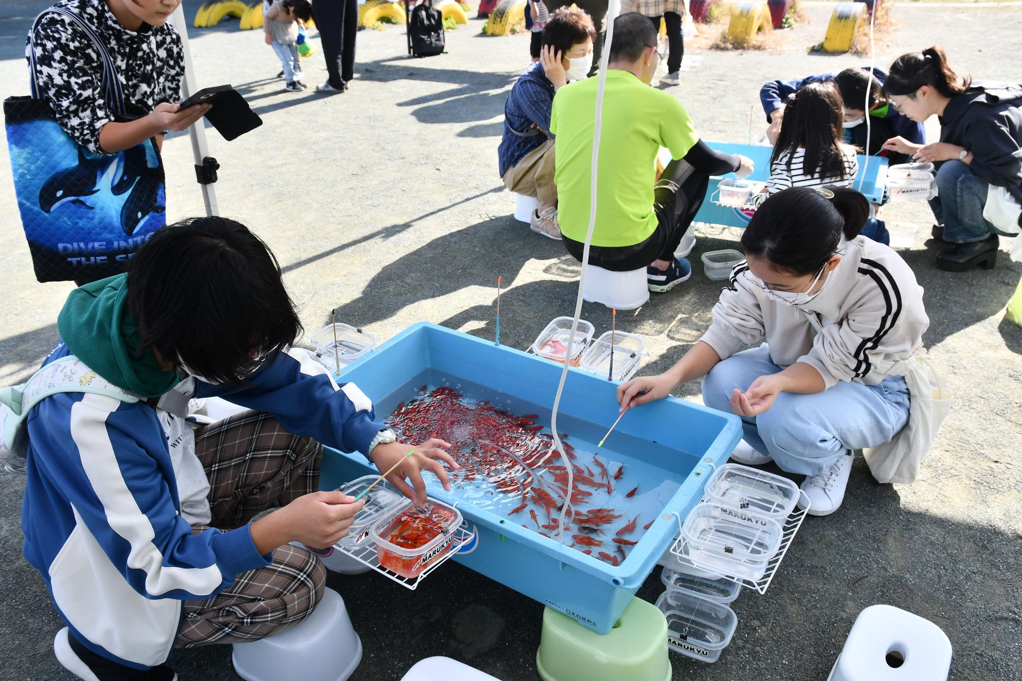 金魚釣り堀