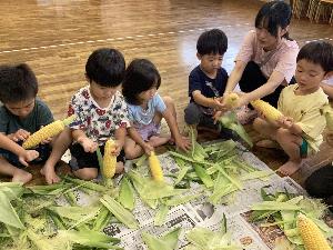 とうもろこしの皮むきをしている写真
