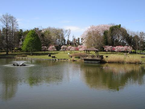 城山公園の大池の画像