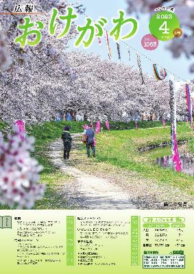 広報おけがわ4月号の表紙画像。篠津の桜堤の満開の桜並木を歩くシニア夫婦とその横を流れる川に鯉幟が吊るされている様子を収めた写真。