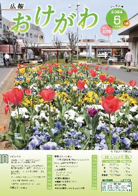 広報おけがわ5月号の表紙画像。桶川駅西口の「涙目花壇」に色とりどりのチューリップやパンジーが咲いている写真