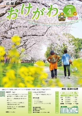 桜と菜の花が咲いている横を女性二人が歩いている表紙