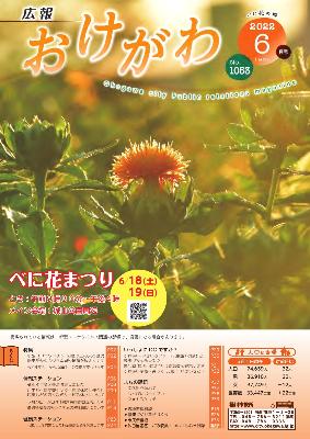広報おけがわ令和4年6月号の表紙画像。紅花畑を背景に朝日に光る一輪の紅花のアップの様子が写っている。
