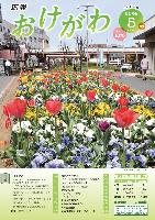 桶川駅西口にある涙目花壇に咲くチューリップやパンジーの写真