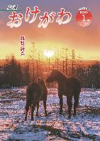 広報おけがわ1月号の表紙画像。日の出と馬2頭の写真