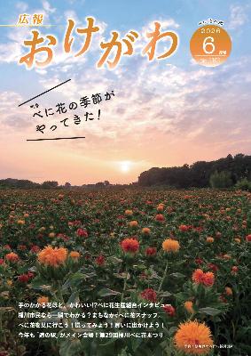 広報おけがわ6月号の表紙画像。早朝のべに花畑と空の写真
