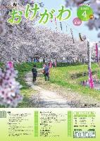 広報おけがわ令和5年4月号の表紙画像。篠津の桜堤の桜が満開の様子の写真。デジタルブック版広報おけがわ令和5年4月号へリンクします。