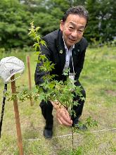 イロハモミジの木を植樹する桶川市長の写真