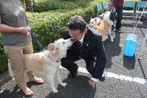 保護犬と遊ぶ小野市長の画像