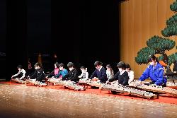 琴を演奏している様子