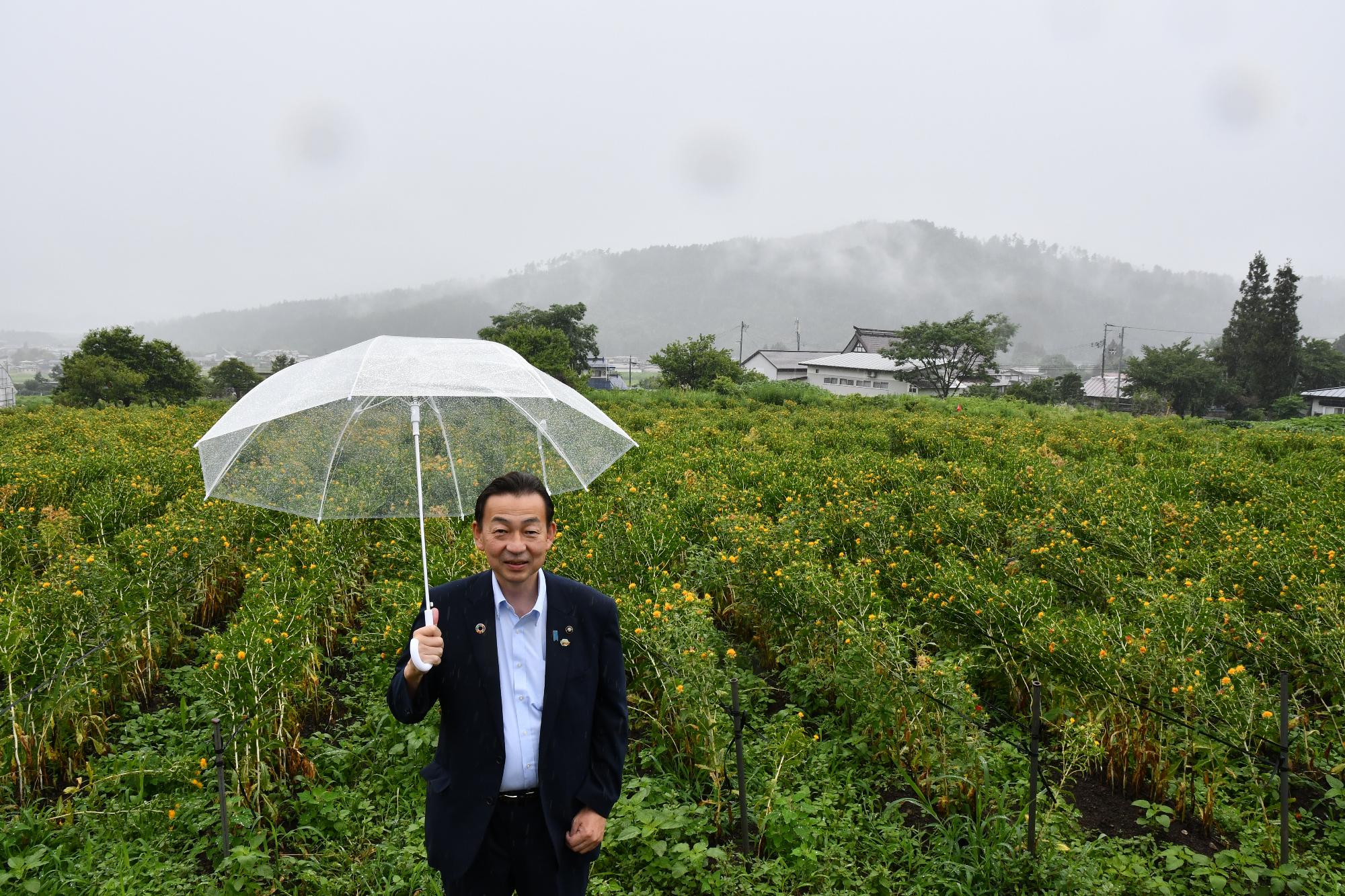 白鷹町の紅花畑の前で記念撮影をする小野市長